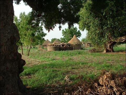 kuli bə keera